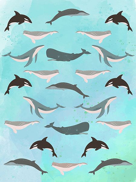 Hill Steven, Wildlife pattern IV