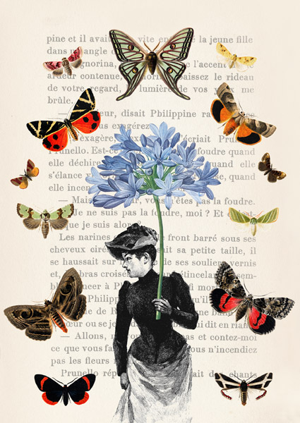 Stef Lamanche, Lady of Butterflies