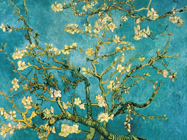Vincent van Gogh, Mandorlo in fiore