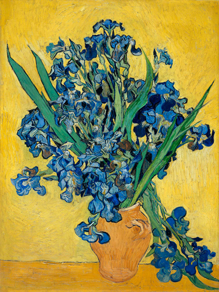 Vincent van Gogh, Irises