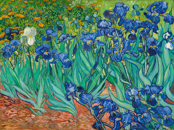 Vincent van Gogh, Irises