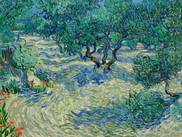 Vincent van Gogh, Olive Orchard