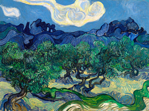 Vincent van Gogh, The Olive Trees