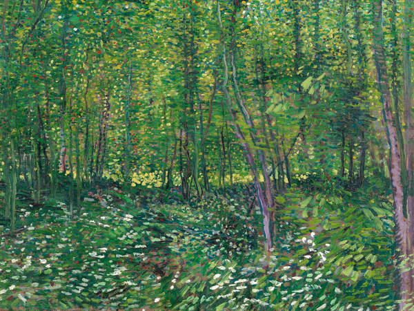 Vincent van Gogh, Trees and undergrowth
