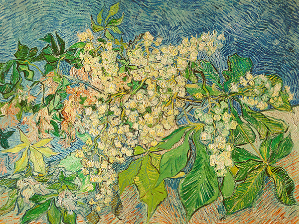 Vincent van Gogh, Blossoming Chestnut Branch