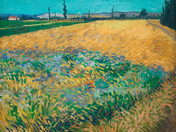 Vincent van Gogh, Wheatfield