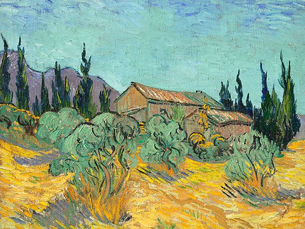 Vincent van Gogh, Cabanes de bois parmi les oliviers et cyprés