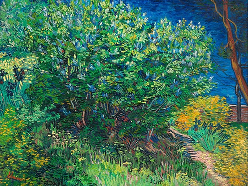 van Gogh Vincent, Lilacs, 1889