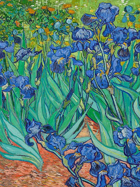 Vincent van Gogh, Irises (detail) 
