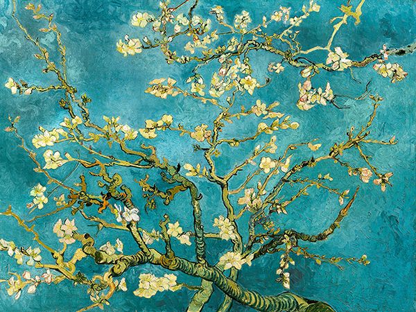 Vincent van Gogh, Mandorlo in fiore 