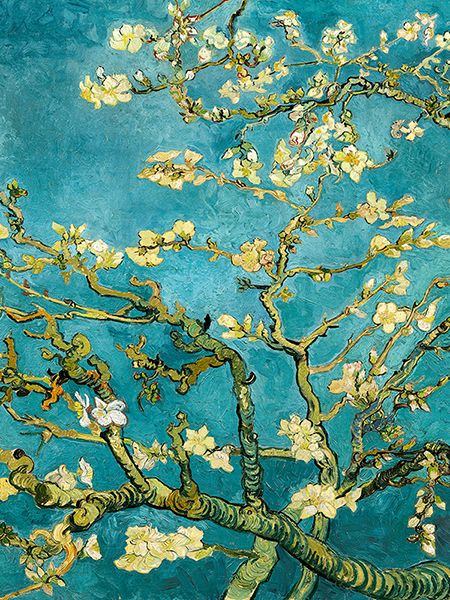 Vincent van Gogh, Mandorlo in fiore (detail)