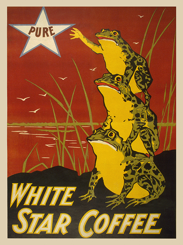 Anonymous, White Star Coffee, 1899
