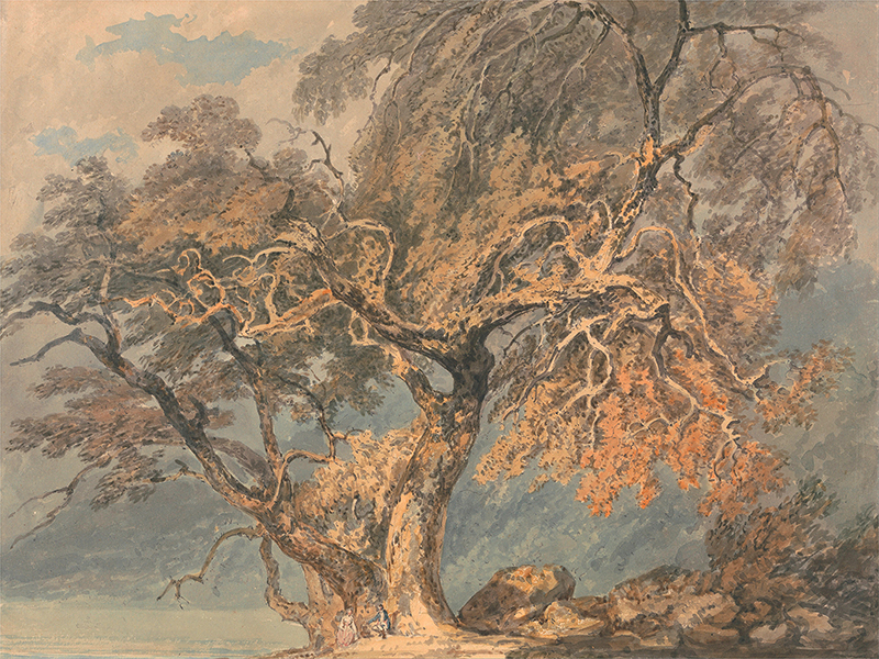 William Turner, A Great Tree