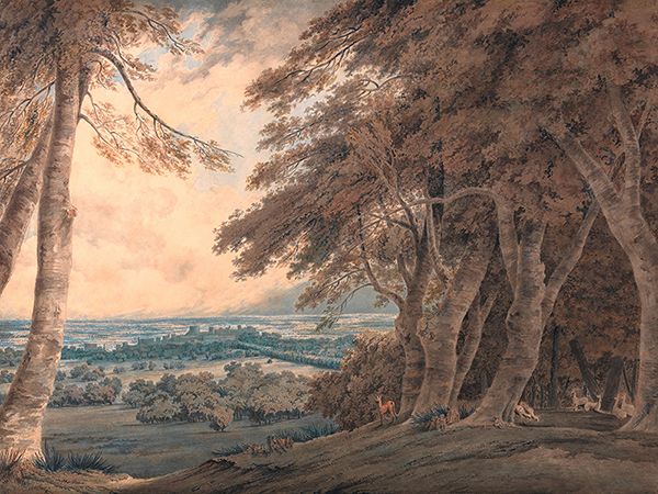 William Turner, Windsor