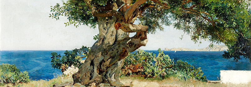 Joaquín Sorolla y Bastida, Algarrobo