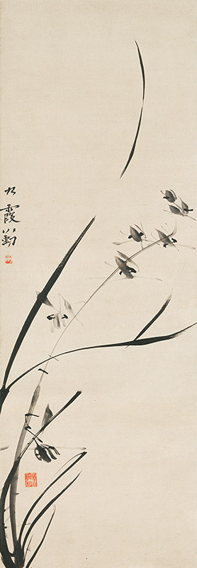 Anonymous, Orchids
