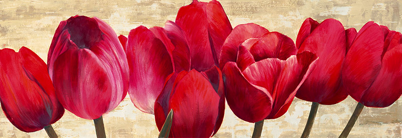 Cynthia Ann, Red Tulips