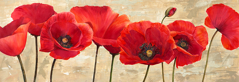 Cynthia Ann, Red Poppies