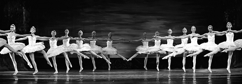 Anonymous, Swan Lake ballet