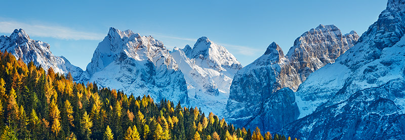 Frank Krahmer, Larch forest and Cima bel Pra, Italy