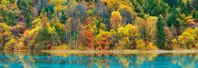 Frank Krahmer, Lake and forest in autumn, China