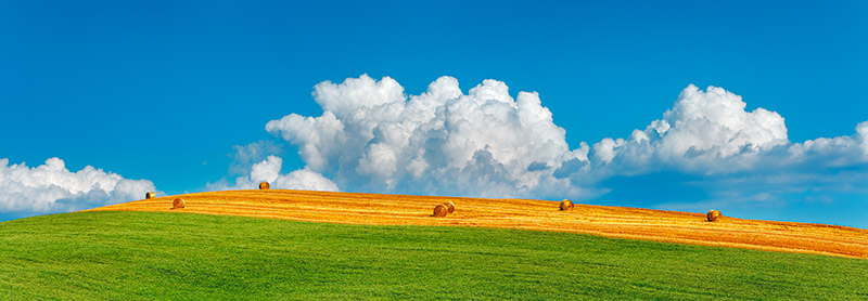 Frank Krahmer, Corn field harvested, Tuscany, Italy