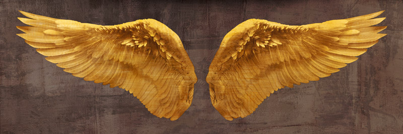 Joannoo, Angel Wings (Gold I)