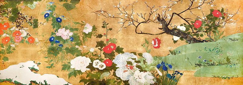 Ippo Saito, Flowers of the four seasons