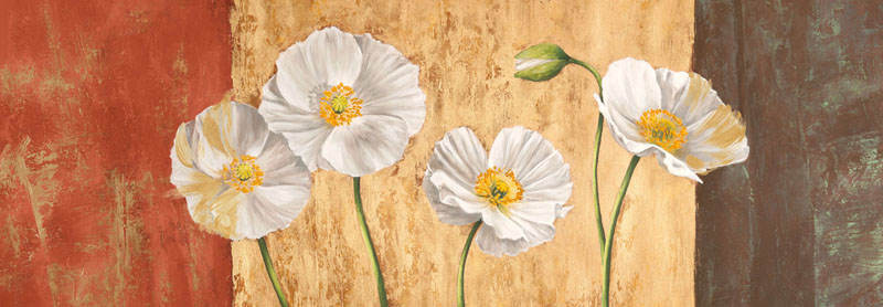 Jenny Thomlinson, Poppies on Smooth Background