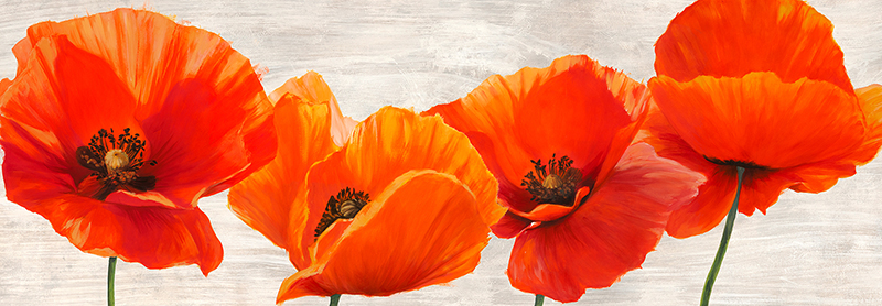 Jenny Thomlinson, Bright Poppies