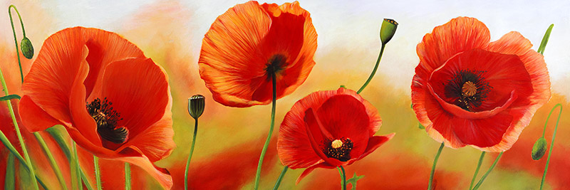 Luca Villa, Poppies in the wind