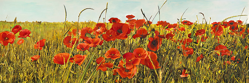 Luca Villa, Poppy Field