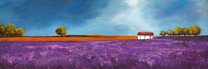 Philip Bloom, Field of lavender