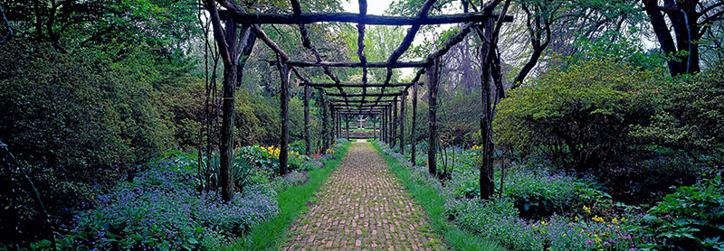 Richard Berenholtz, Garden path, Old Westbury Gardens, Long Island