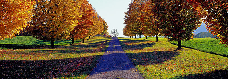 Richard Berenholtz, Autumn Road, Storm King Mountain, New York