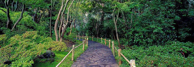 Richard Berenholtz, Tea Garden Walkway, San Francisco Botanical Gardens