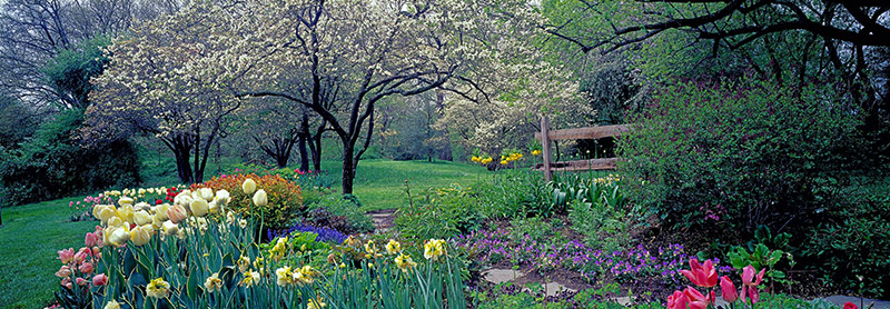 Richard Berenholtz, Country garden, Old Westbury Gardens, Long Island