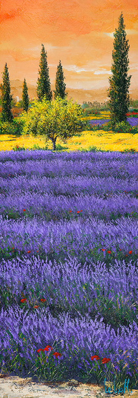 Tebo Marzari, Pomeriggio tra la lavanda