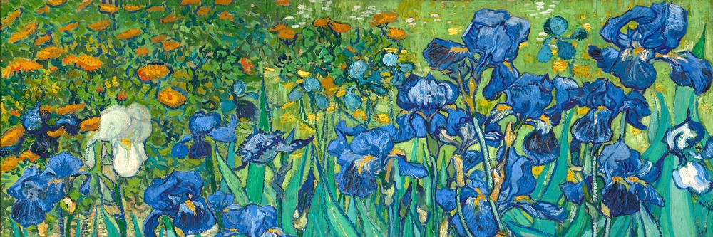 Vincent van Gogh, Irises (detail)